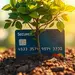 Secured Credit Cards: Your Guide to Rebuilding Credit
